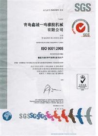 SGS证书(中文版)